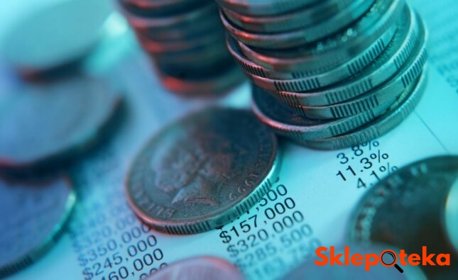 Sklepoteka.pl - Jakie koszty ponosi właściciel sklepu internetowego i jak je minimalizować?