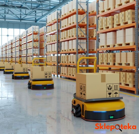 Sklepoteka.pl - Fulfillment dla e-commerce – czy warto zlecić logistykę zewnętrznej firmie? Zalety i wady