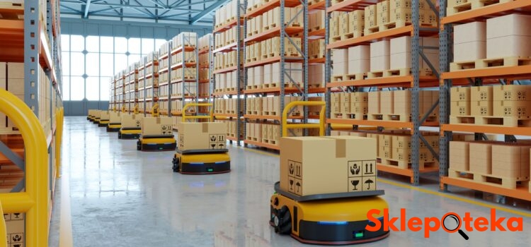 Fulfillment dla e-commerce – czy warto zlecić logistykę zewnętrznej firmie? Zalety i wady