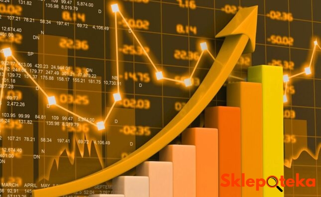 Sklepoteka.pl - Jak Skutecznie Prowadzić Sklep Stacjonarny w Erze Cyfrowej? Strategie Sukcesu dla Tradycyjnego Handlu