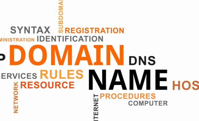 Autorytet domeny – grafika z hasłami Domain, Name, DNS i Registration
